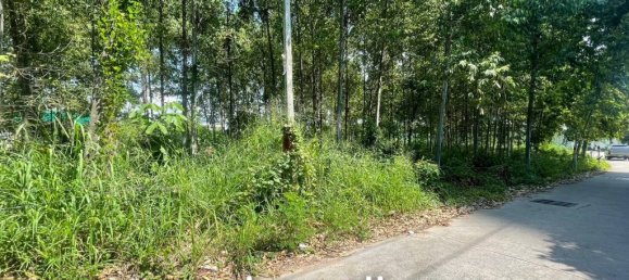  Commercial property in Pattaya, Thailand No. 14241 2