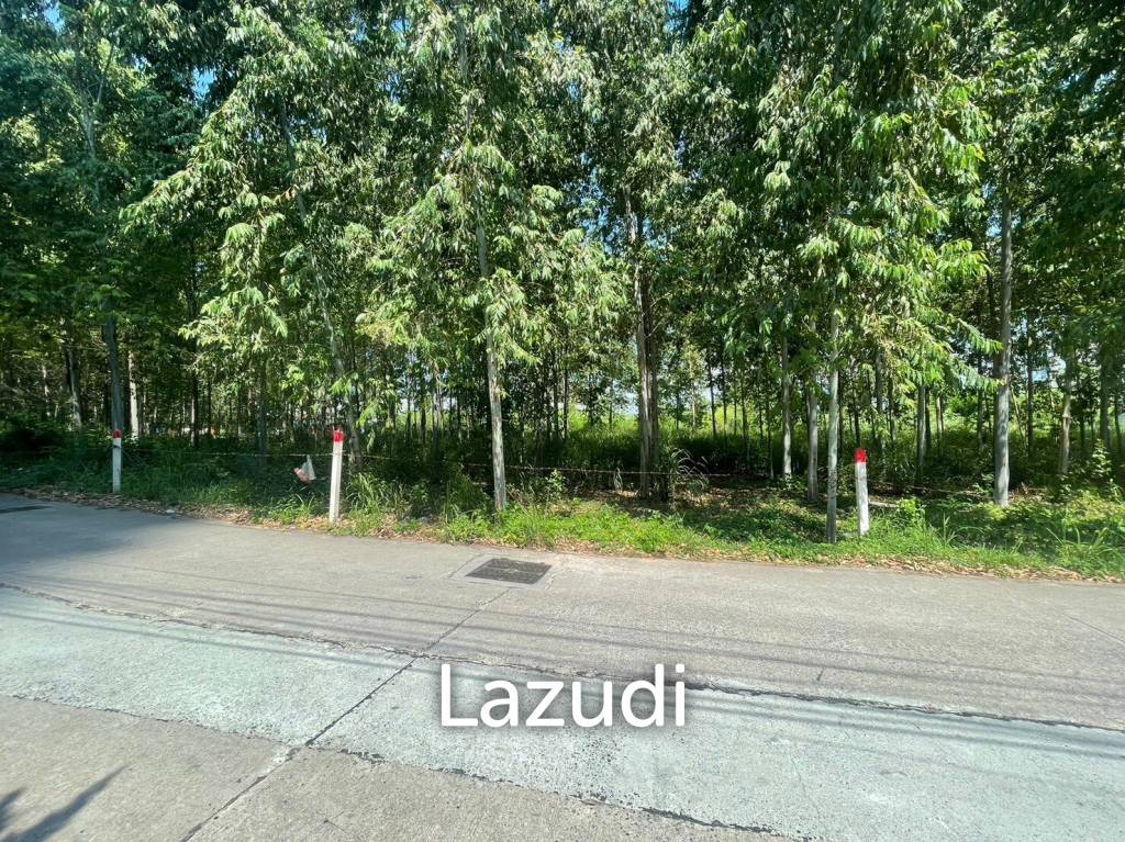  Commercial property in Pattaya, Thailand No. 14241