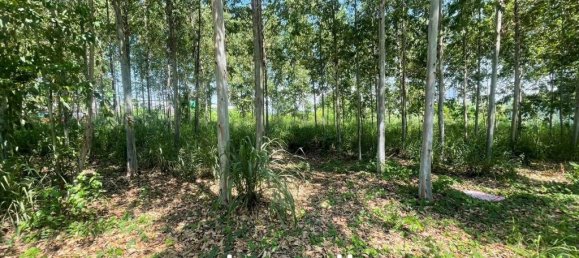  Commercial property in Pattaya, Thailand No. 14241 5