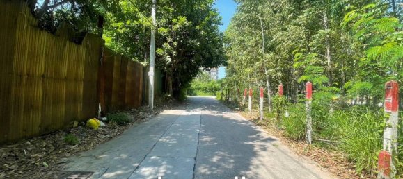  Commercial property in Pattaya, Thailand No. 14241 7