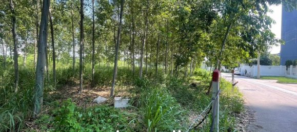  Commercial property in Pattaya, Thailand No. 14241 4