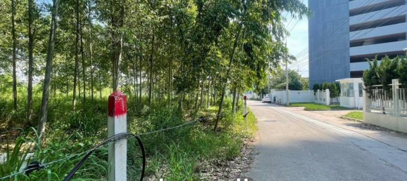  Commercial property in Pattaya, Thailand No. 14241 3