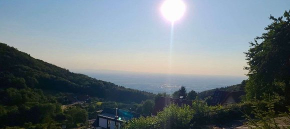 1 chambre Duplex à Ortenaukreis, Germany No. 245248 6