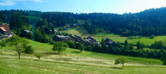 1 chambre Duplex à Ortenaukreis, Germany No. 245248 5