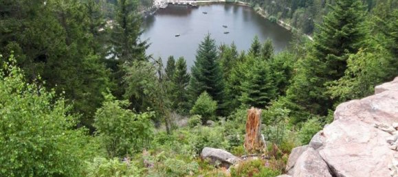 1 chambre Duplex à Ortenaukreis, Germany No. 245248 7