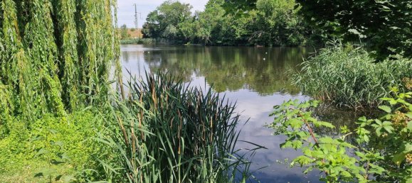 Hotel de 16 habitaciónes en Saalekreis, Germany No. 236937 4