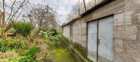 4 chambres Maison à Pereira, Portugal No. 175894 6