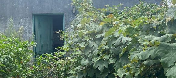 3 chambres Maison à Lajes, Portugal No. 45333 2