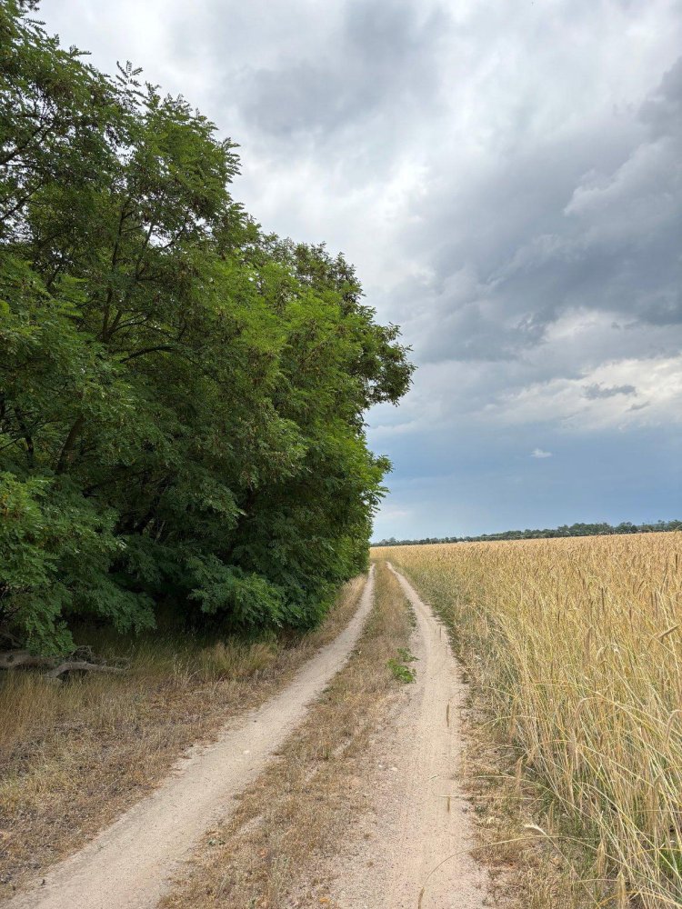  Land in Teltow-Flaming, Germany No. 237404