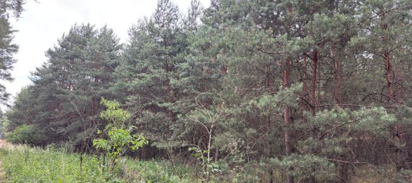  Land in Teltow-Flaming, Germany No. 237404 2