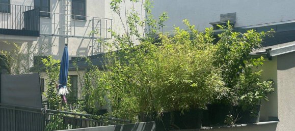 4 rooms Apartment in Wieden, Austria No. 179253 8