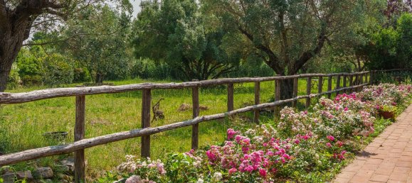 16000m² Commercial property in Castagneto Carducci, Italy No. 294904 21