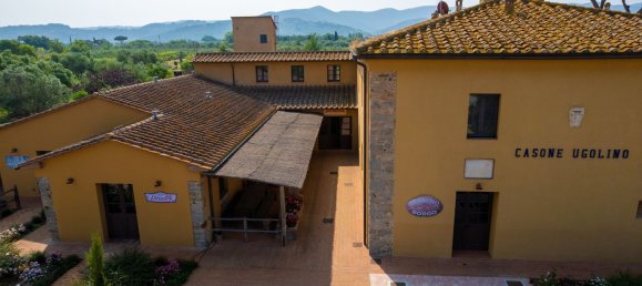 16000m² Commercial property in Castagneto Carducci, Italy No. 294904 7