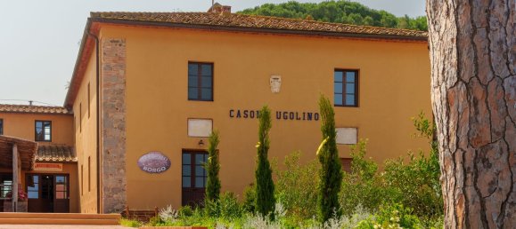 16000m² Commercial property in Castagneto Carducci, Italy No. 294904 16