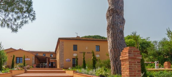 16000m² Commercial property in Castagneto Carducci, Italy No. 294904 15