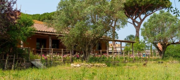 16000m² Commercial property in Castagneto Carducci, Italy No. 294904 24