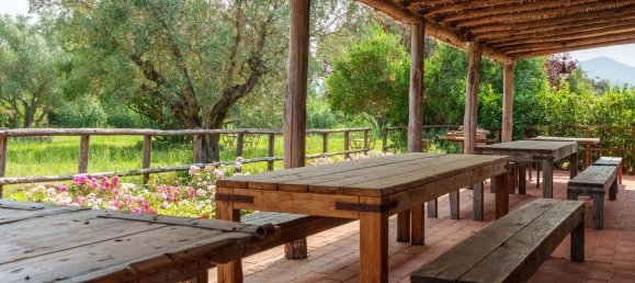 16000m² Commercial property in Castagneto Carducci, Italy No. 294904 22