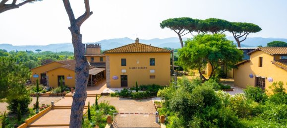 16000m² Commercial property in Castagneto Carducci, Italy No. 294904 2