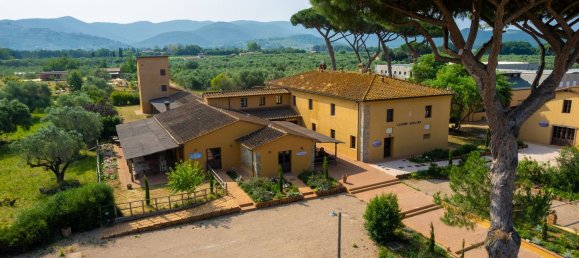 16000m² Commercial property in Castagneto Carducci, Italy No. 294904 4