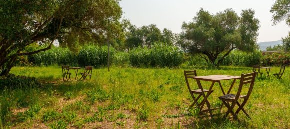 16000m² Commercial property in Castagneto Carducci, Italy No. 294904 23