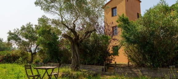 16000m² Commercial property in Castagneto Carducci, Italy No. 294904 25