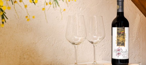 16000m² Commercial property in Castagneto Carducci, Italy No. 294904 40