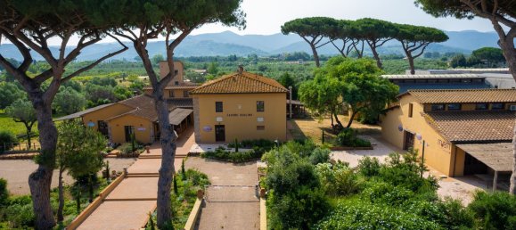 16000m² Commercial property in Castagneto Carducci, Italy No. 294904 9