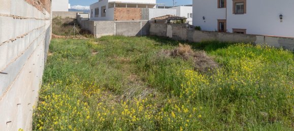 318m² Land in Peligros, Spain No. 175148 8