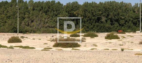 Terrain à Majan, UAE 6596.1m² No. 7427 13