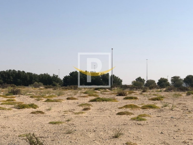Terrain à Majan, UAE 6596.1m² No. 7427