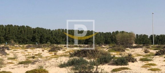 Terrain à Majan, UAE 6596.1m² No. 7427 4