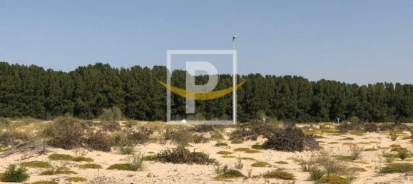 Terrain à Majan, UAE 6596.1m² No. 7427 7