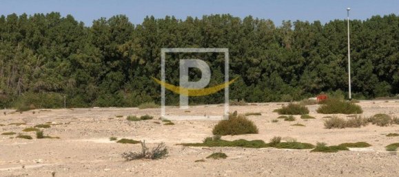 Terrain à Majan, UAE 6596.1m² No. 7427 12