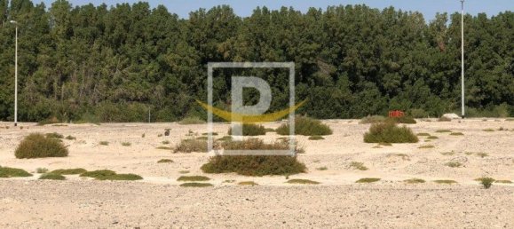 Terrain à Majan, UAE 6596.1m² No. 7427 10