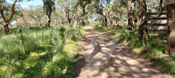3 Schlafzimmer Haus in Grandola, Portugal, Nr. 70131 7