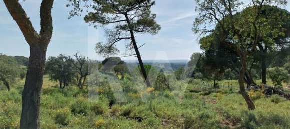3 Schlafzimmer Haus in Grandola, Portugal, Nr. 70131 12