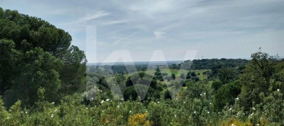 3 Schlafzimmer Haus in Grandola, Portugal, Nr. 70131 2