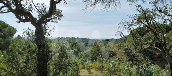 3 Schlafzimmer Haus in Grandola, Portugal, Nr. 70131 23