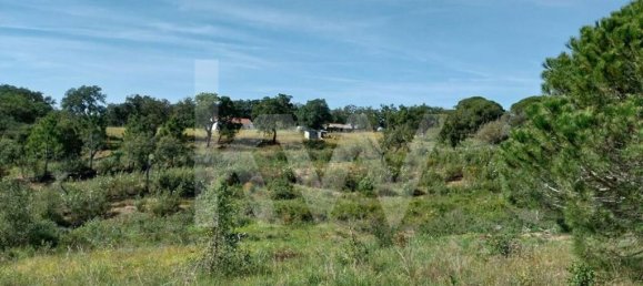 3 Schlafzimmer Haus in Grandola, Portugal, Nr. 70131 21