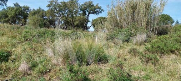3 Schlafzimmer Haus in Grandola, Portugal, Nr. 70131 20