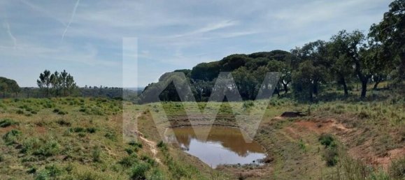 3 Schlafzimmer Haus in Grandola, Portugal, Nr. 70131 16