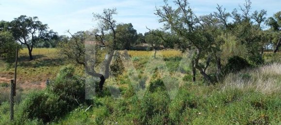 3 Schlafzimmer Haus in Grandola, Portugal, Nr. 70131 15
