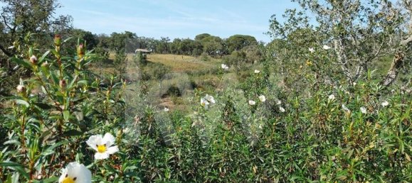 3 Schlafzimmer Haus in Grandola, Portugal, Nr. 70131 25