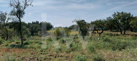 3 Schlafzimmer Haus in Grandola, Portugal, Nr. 70131 11