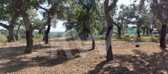 3 Schlafzimmer Haus in Grandola, Portugal, Nr. 70131 4