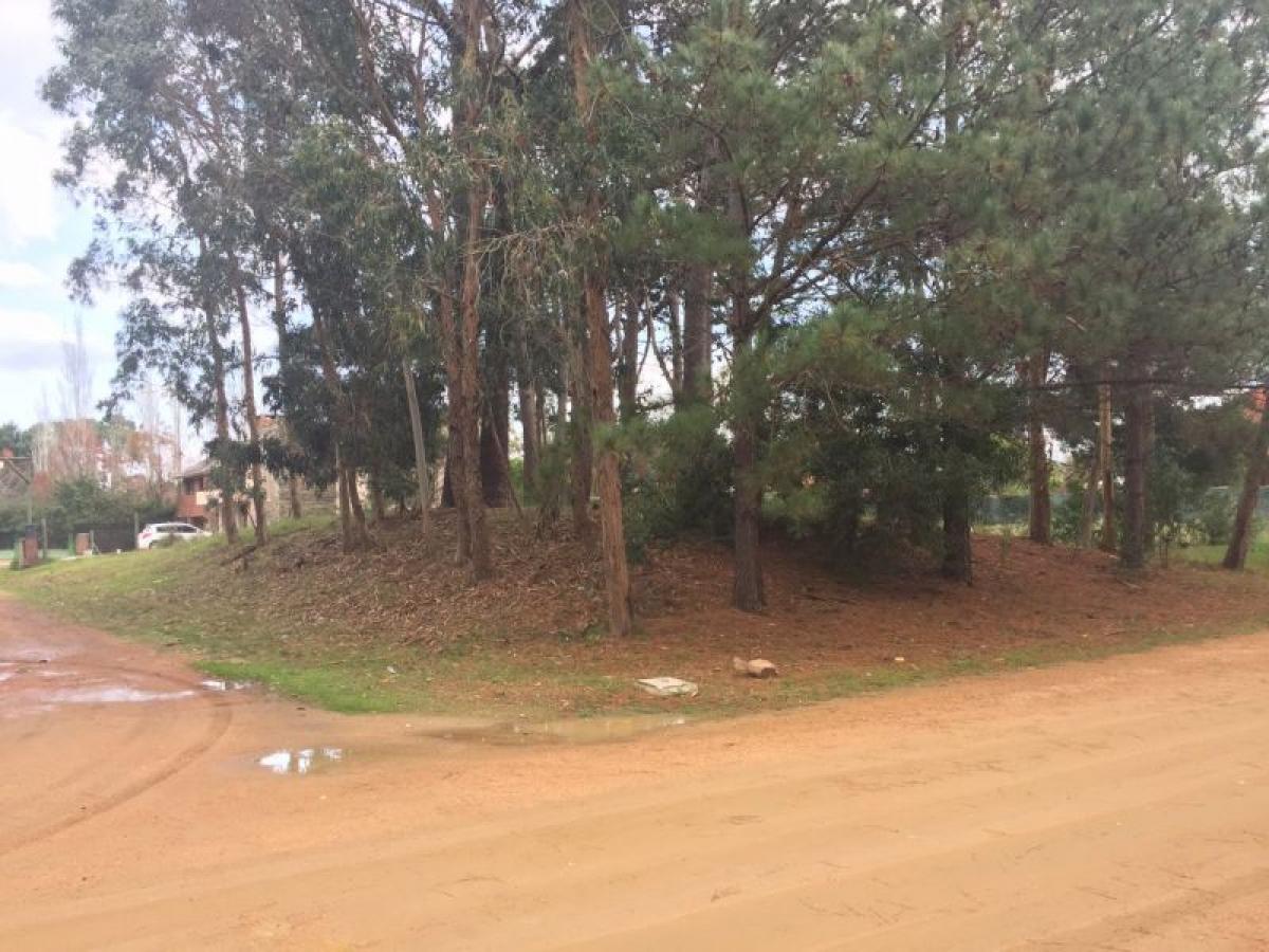 Земельный участок в Мальдонадо, Уругвай № 15343