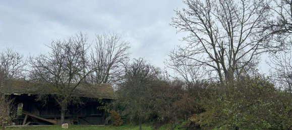 6غرفة منزل في Senftenberg, Austria رقم 51583 10