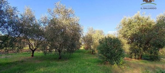 8-salle Maison à Capannori, Italy No. 192354 9