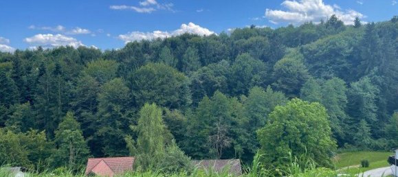 Grundstück in Bad Schwanberg, Austria, Nr. 209502 3