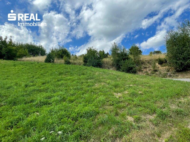 Grundstück in Bad Schwanberg, Austria, Nr. 209502